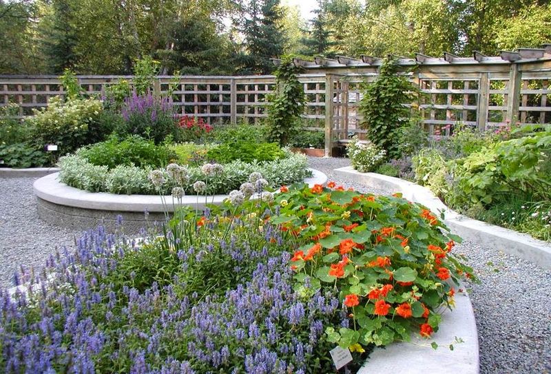 Midnight Sun Growing Advantage