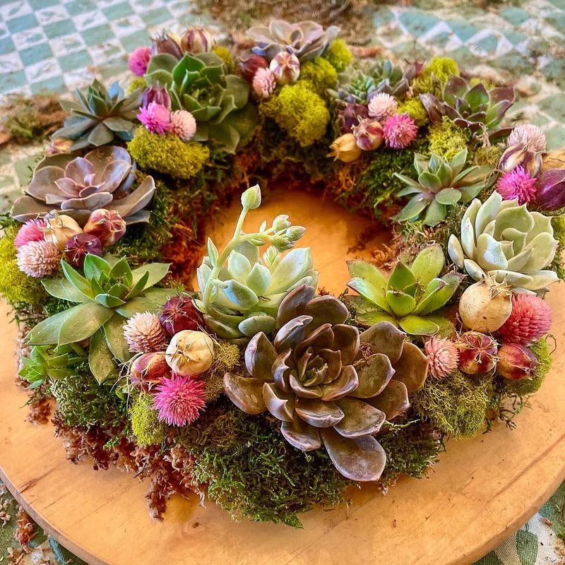 Mixed Succulent Wreaths Mounted on Exterior Walls