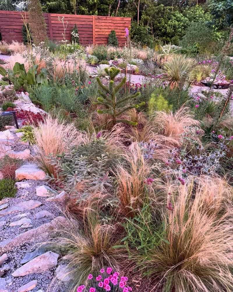 Gravel And Native Plant Combination Gardens