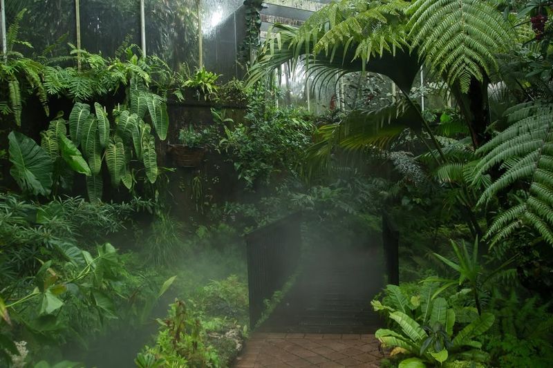 Conservatory Wings Featuring Rare Tropical Species