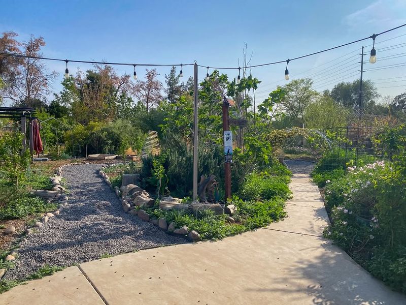 Edible Desert Gardens