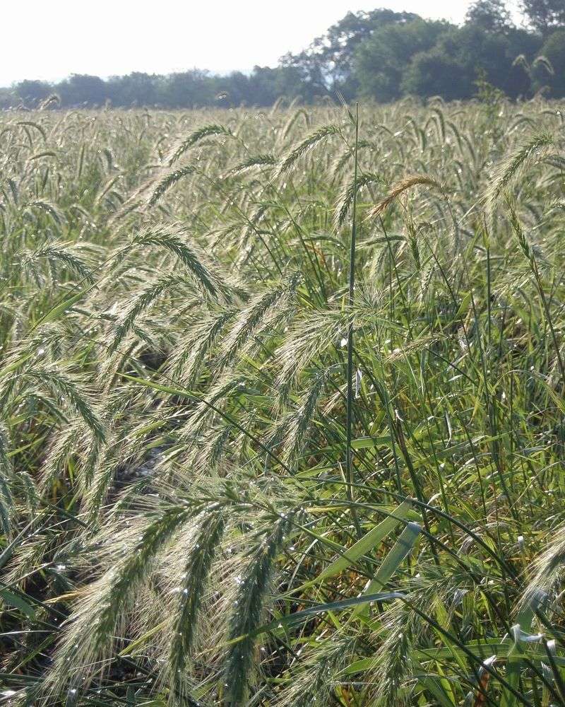 Schools And Public Spaces Are Leading By Example