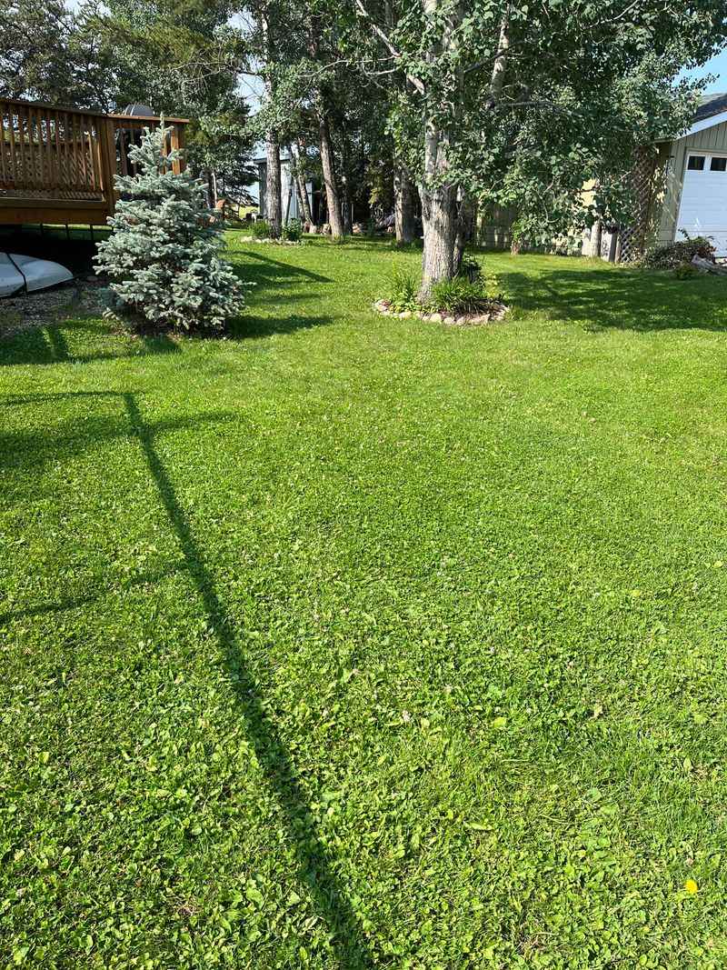 Reduced Chemical Fertilizer Use