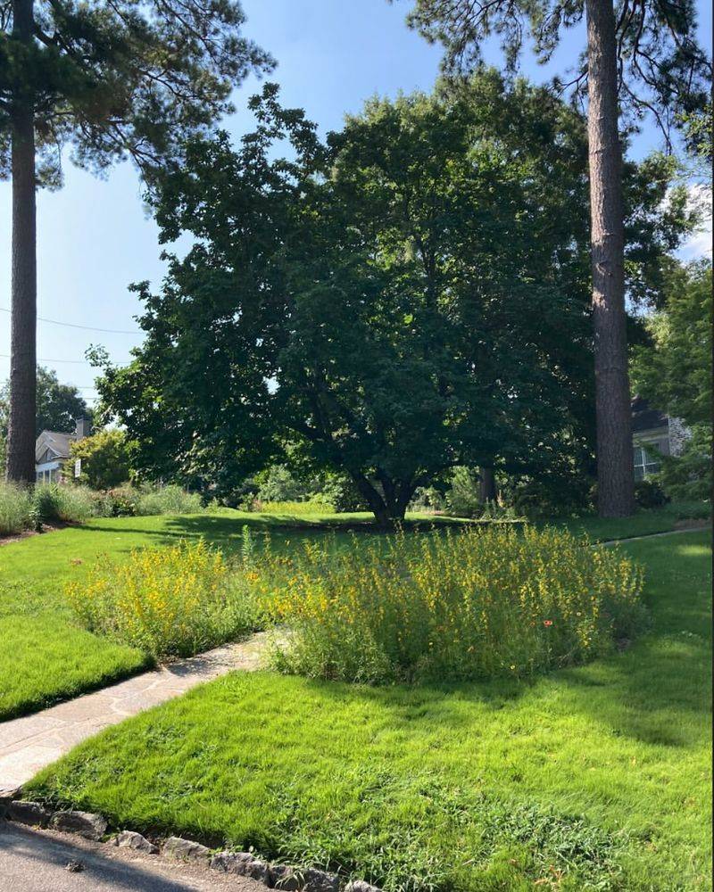 You Can Start Small With Native Grass Projects