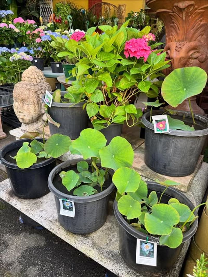 Tropical Conservatory Provides Year-Round Exotic Experiences