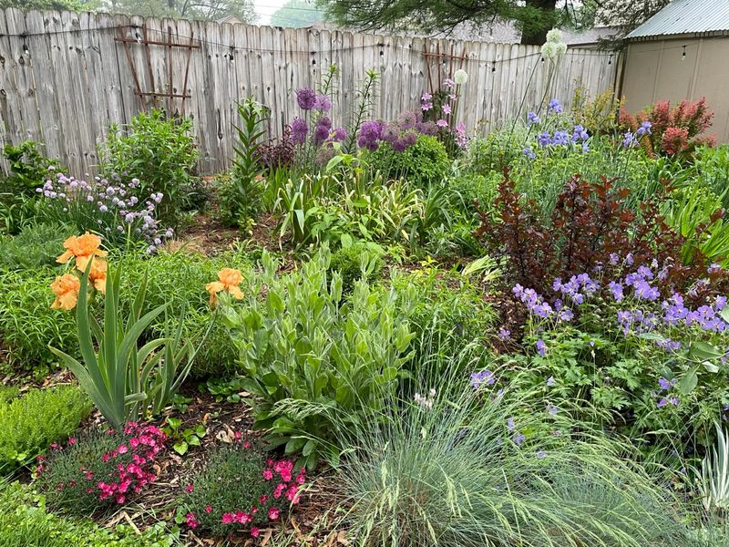 Maintenance Requirements Drop Significantly With Native Species