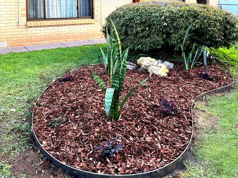 Mulched Garden Beds
