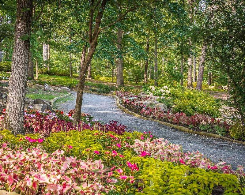 Accessible Pathways Welcoming Visitors with Mobility Challenges