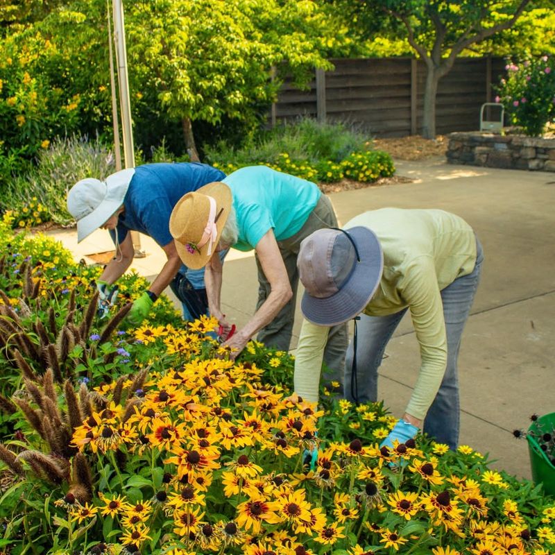 Volunteer Programs Expand Through Resources