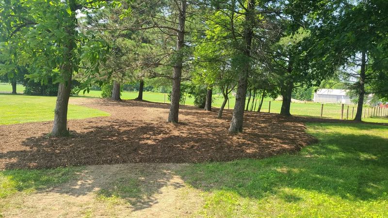 Deep Mulching Locks In Precious Moisture