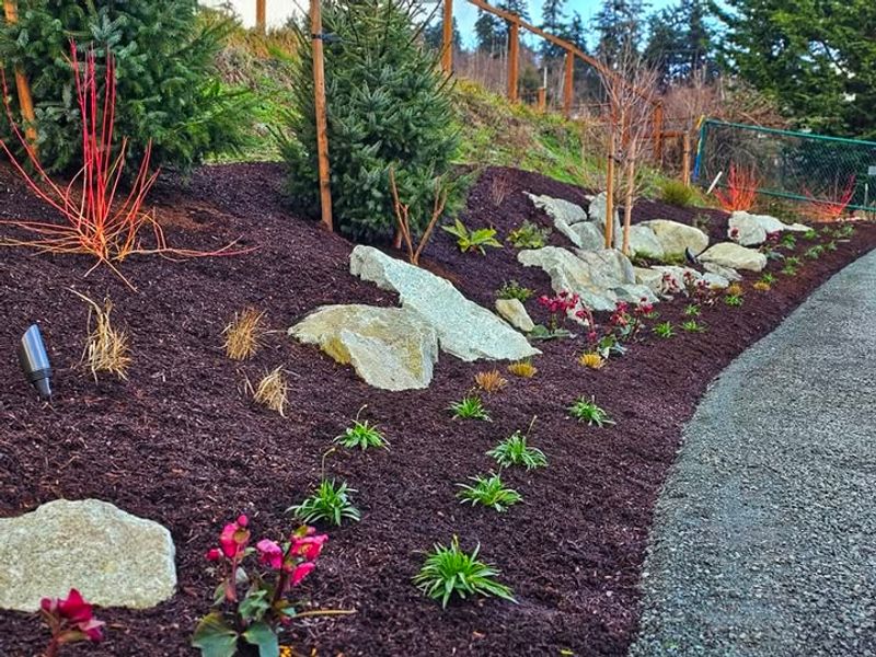 Mulch Works Like Magic