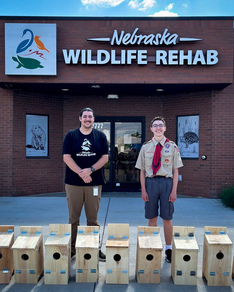 Building Versus Buying Your Wildlife Shelters