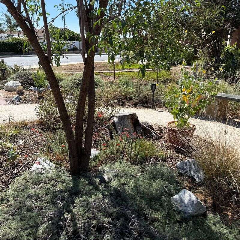 Regular Maintenance Reduces Risk