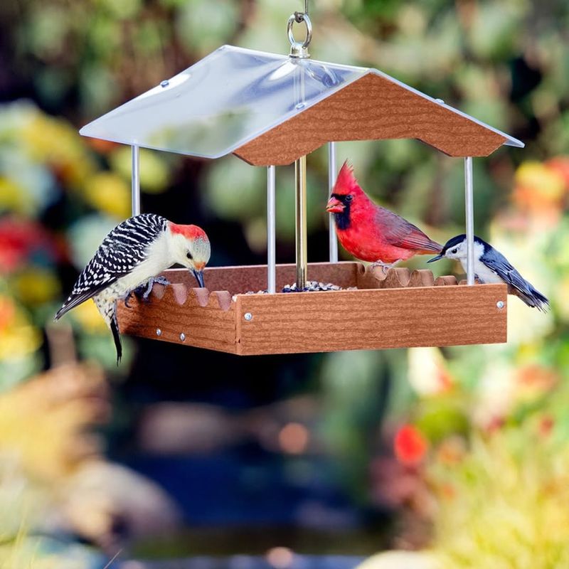 Bird Feeders And Baths Create Gathering Spots