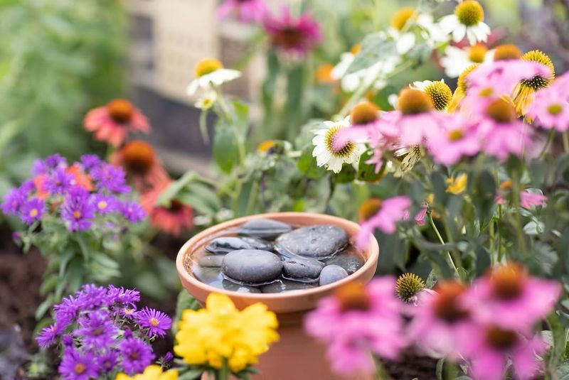 Pollinators Need Our Help