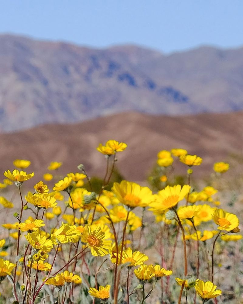 Climate Change Creates Hotter, Drier Summers