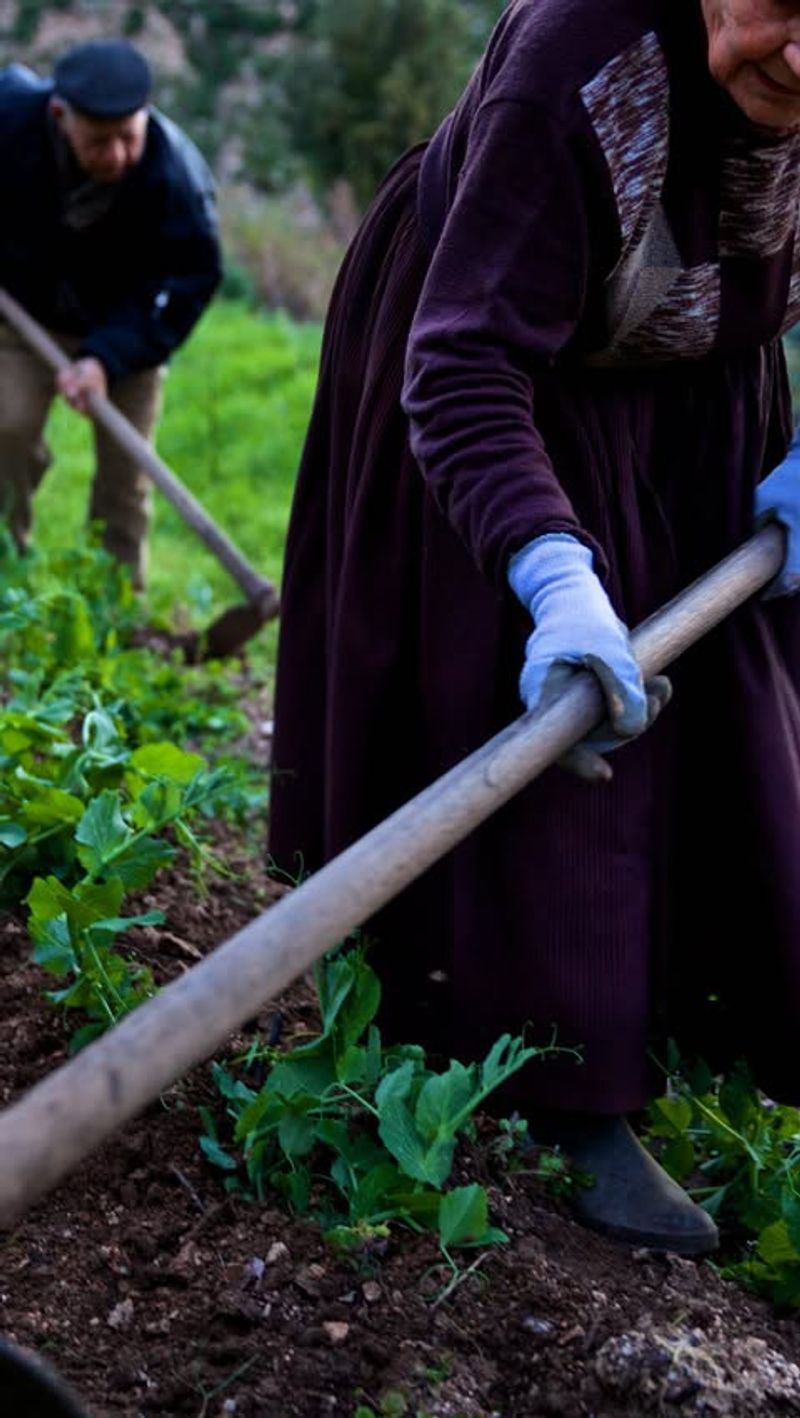 Gardening As A Daily Routine