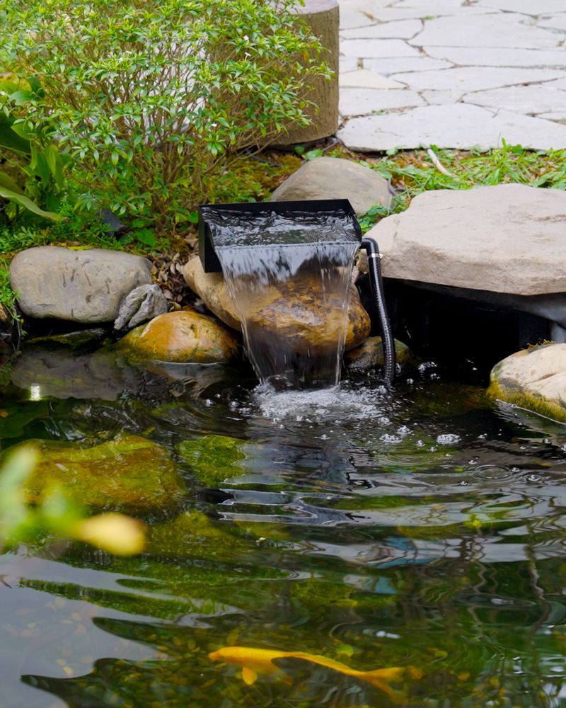 Small Pumps Keep Water Fresh