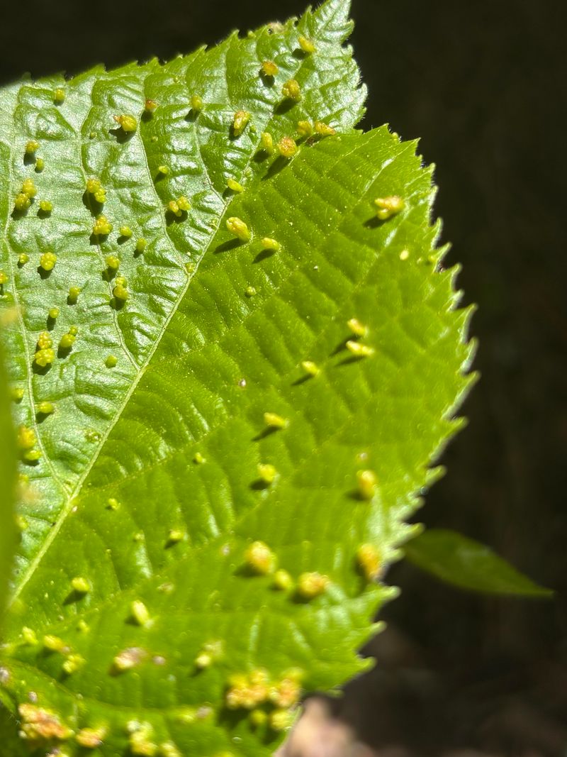 The Problem May Decrease Over Time Naturally