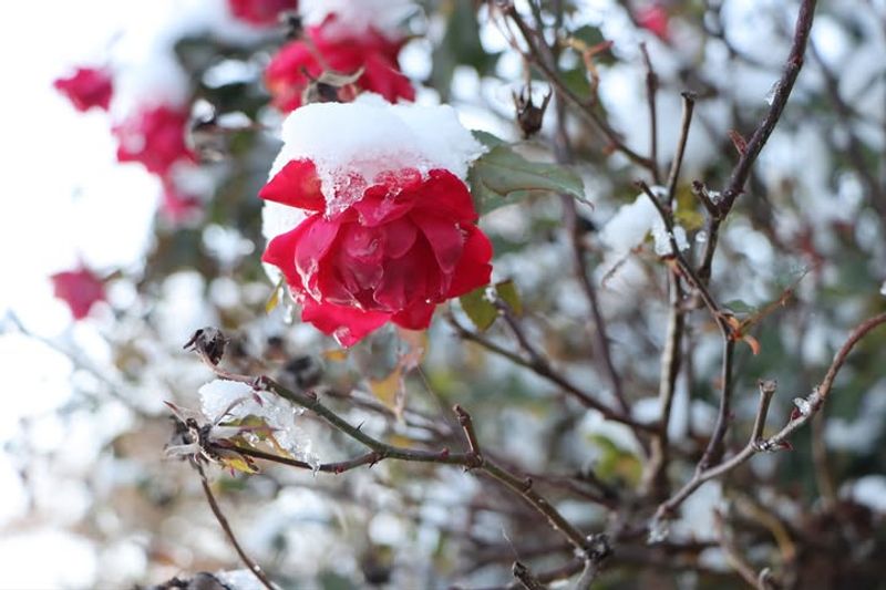 Climate Shifts Extend Growing Seasons Statewide