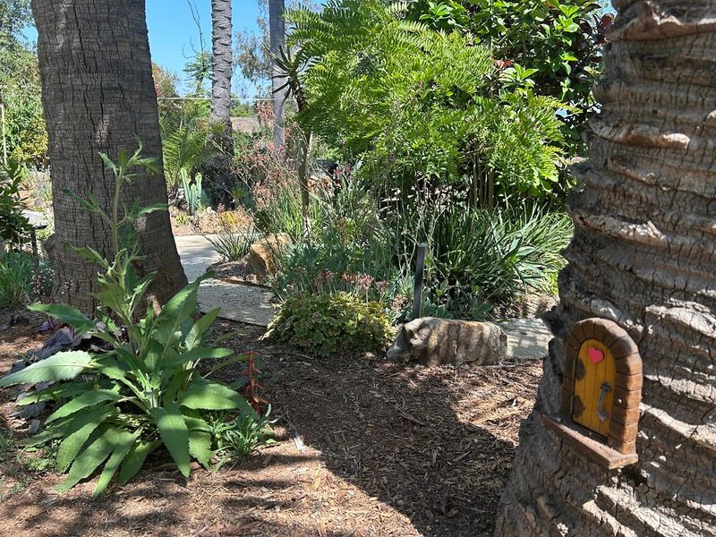 Drip Irrigation Systems Deliver Water Efficiently