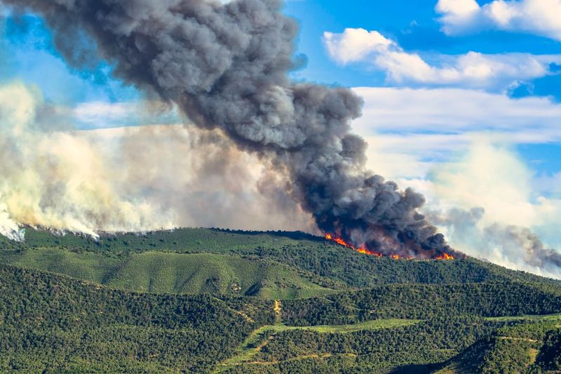 Community Wildfire Protection Plans Have Deadlines