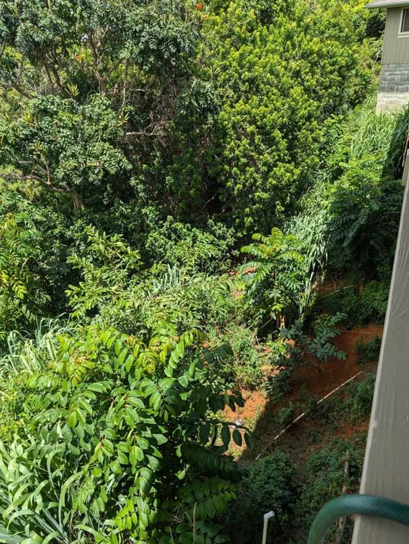 Warning Notices Protect Homeowners From Claims