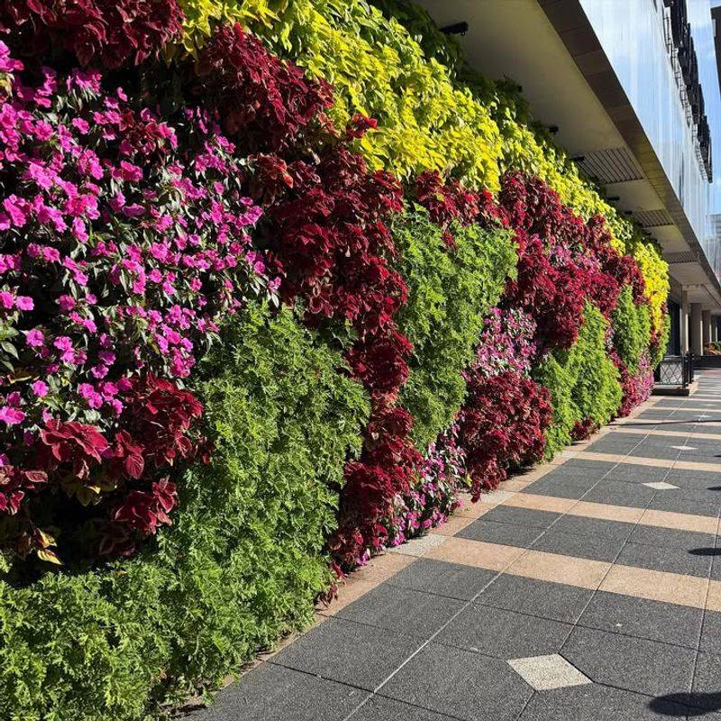 Vertical Garden Walls