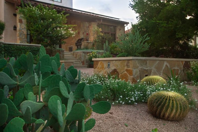 Xeriscaping with Sculptural Succulents
