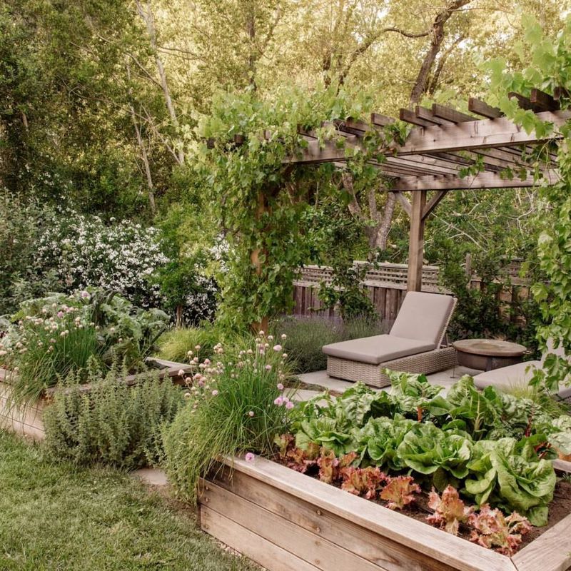 Edible Forest Gardens