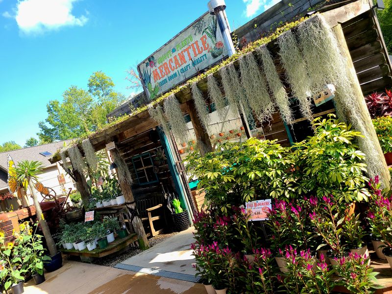 Groovy Plants Ranch — Marengo