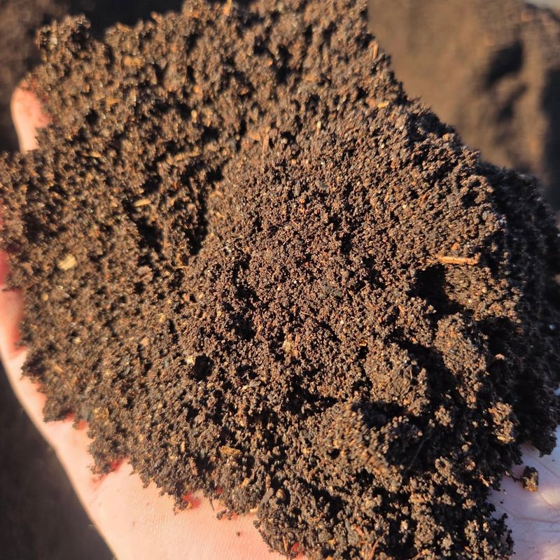 Moisture Retention Makes Soil Appear Darker