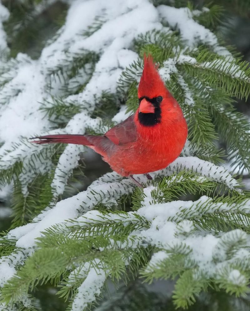 Cold Weather Increases Calorie Needs