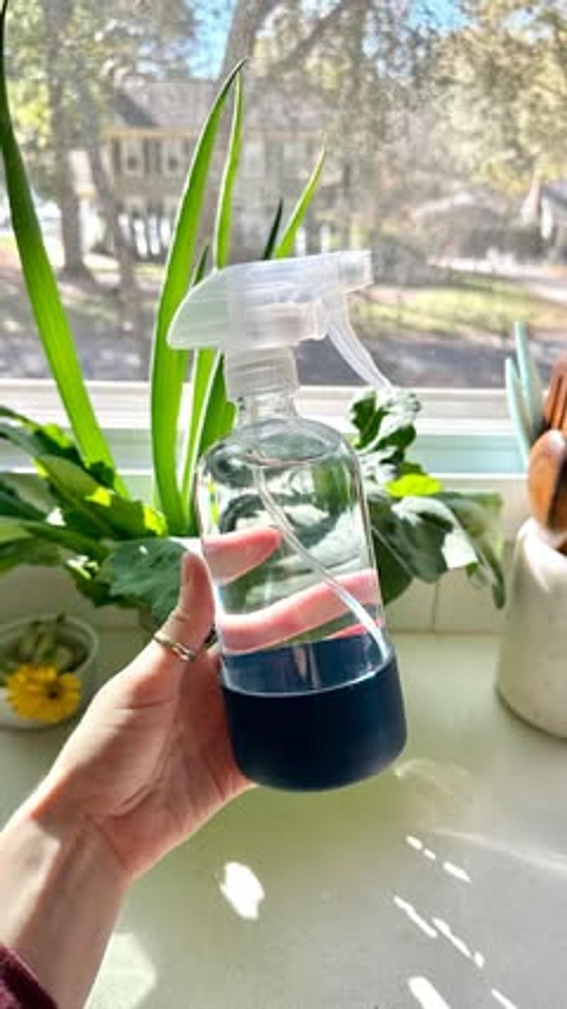 DIY Mint-Based Cleaning Solutions