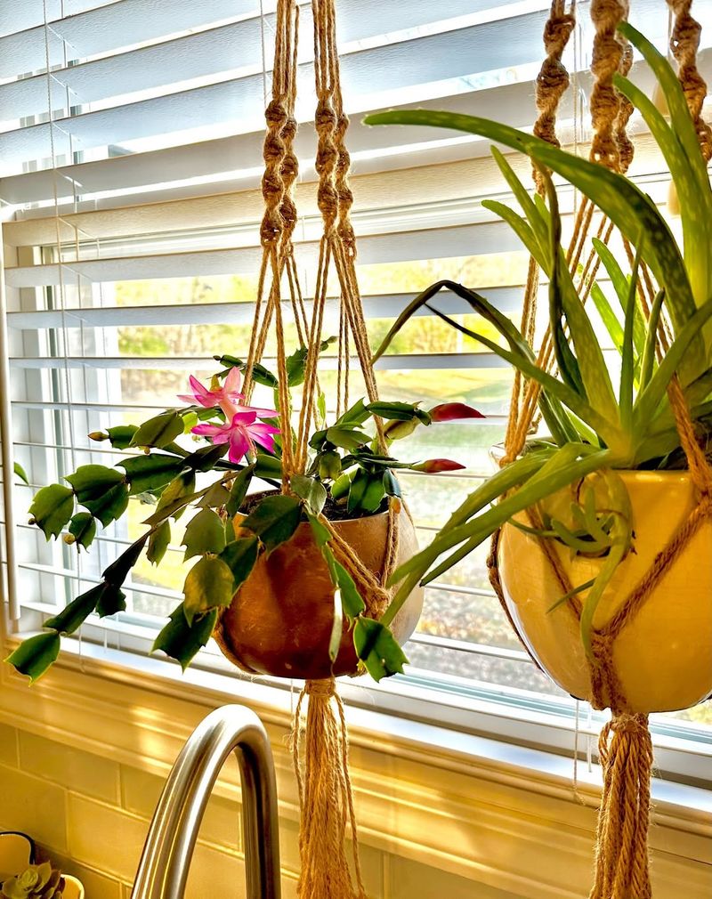 Perfect Light Conditions Without The Harsh Afternoon Sun