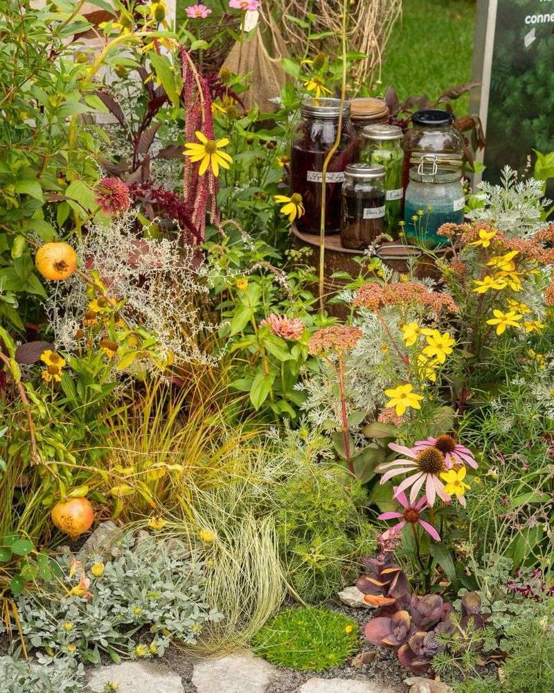 Sustainability And Low Environmental Impact