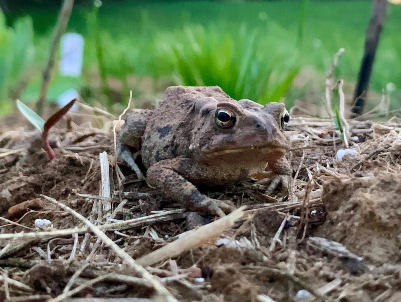 Moisture Levels Are Just Right