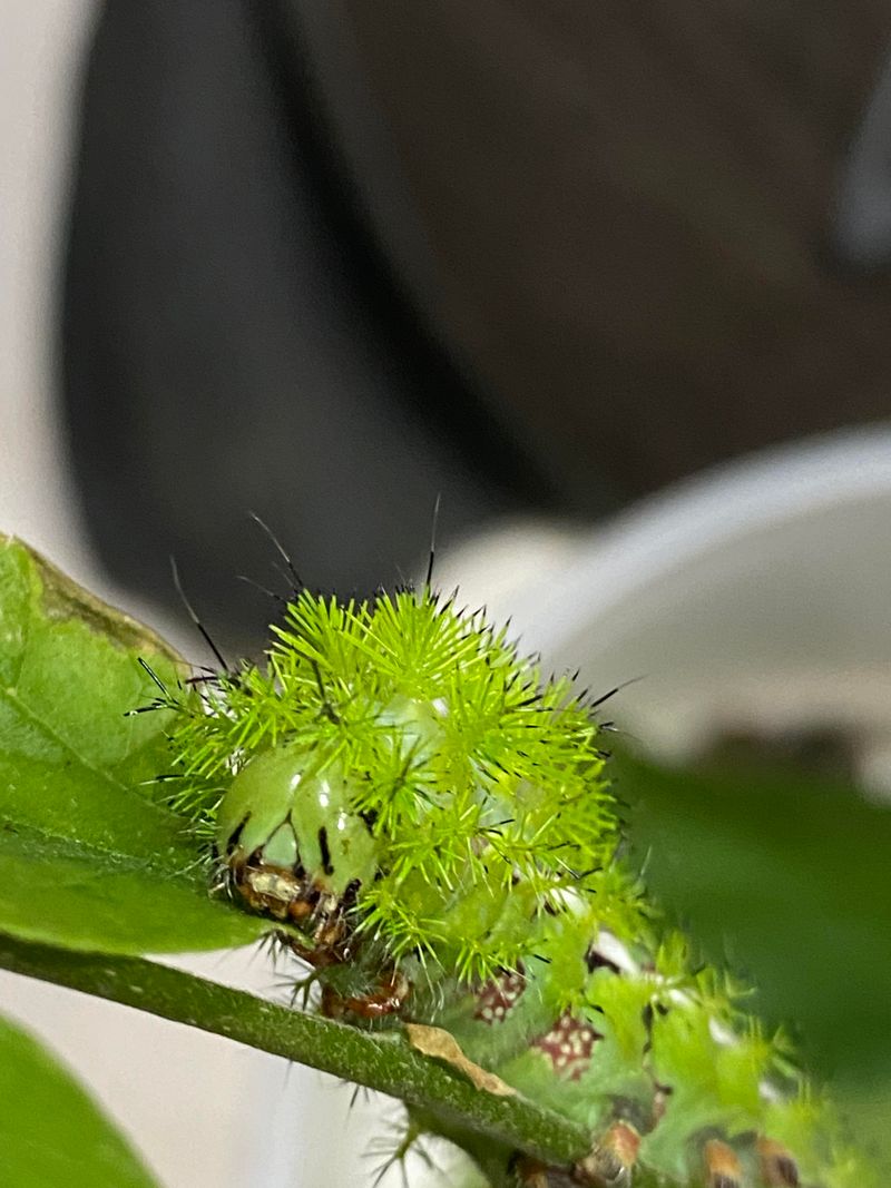 When to Seek Medical Attention