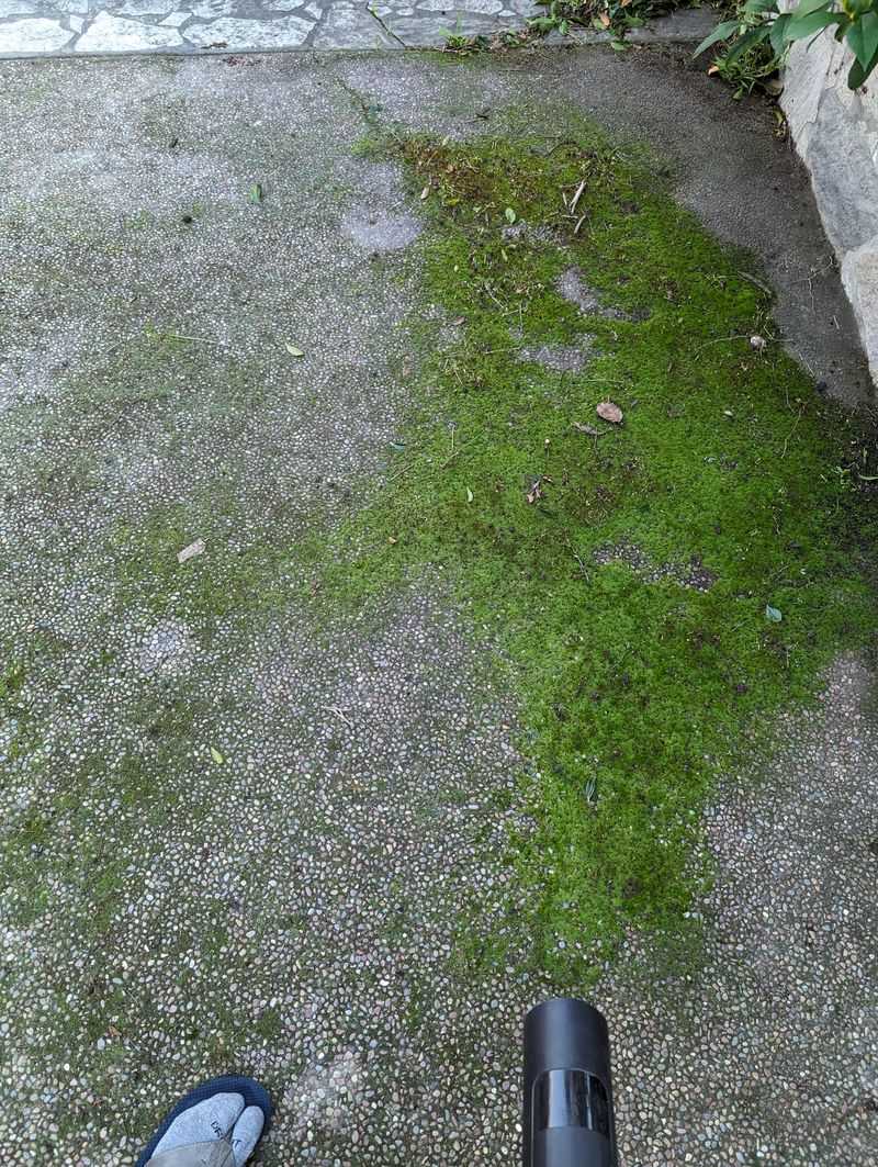 Preventing Slippery Algae Buildup On Surfaces