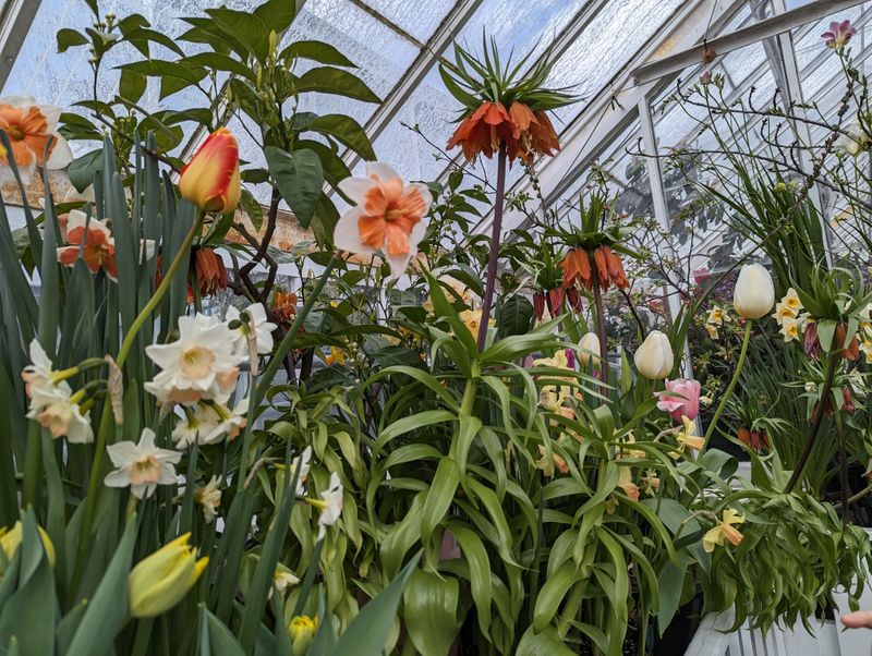 Smith College Botanic Garden