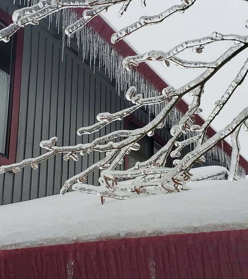 Skipping Roof Inspections After Heavy Storms
