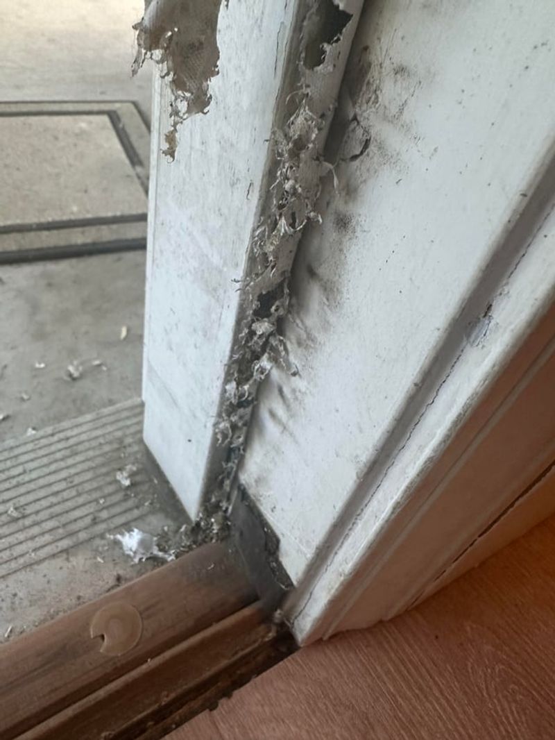 Skipping Window And Door Weatherstripping Inspection