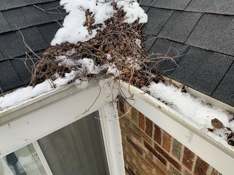 Ignoring Gutter Cleaning Before Winter Arrives