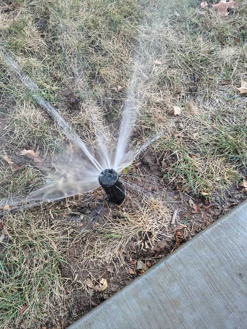 Forgetting About Underground Sprinkler Systems And Utilities