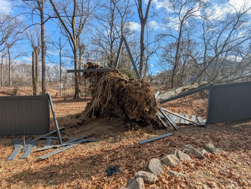 Your Own Insurance Usually Covers Storm Damage First
