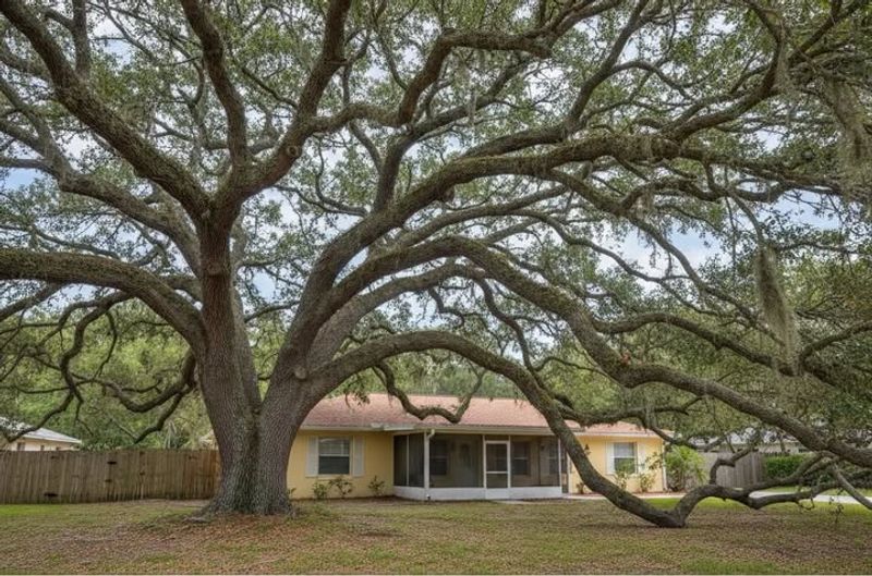 Property Lines Determine Initial Responsibility