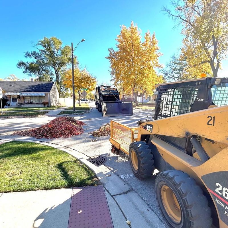 Local Ordinances May Address Excessive Debris