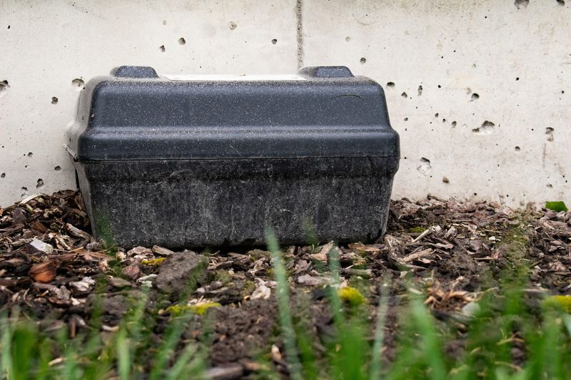 Rodenticides And Poison Baits