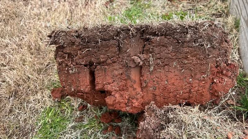 Improve Soil Drainage In Clay-Heavy Areas