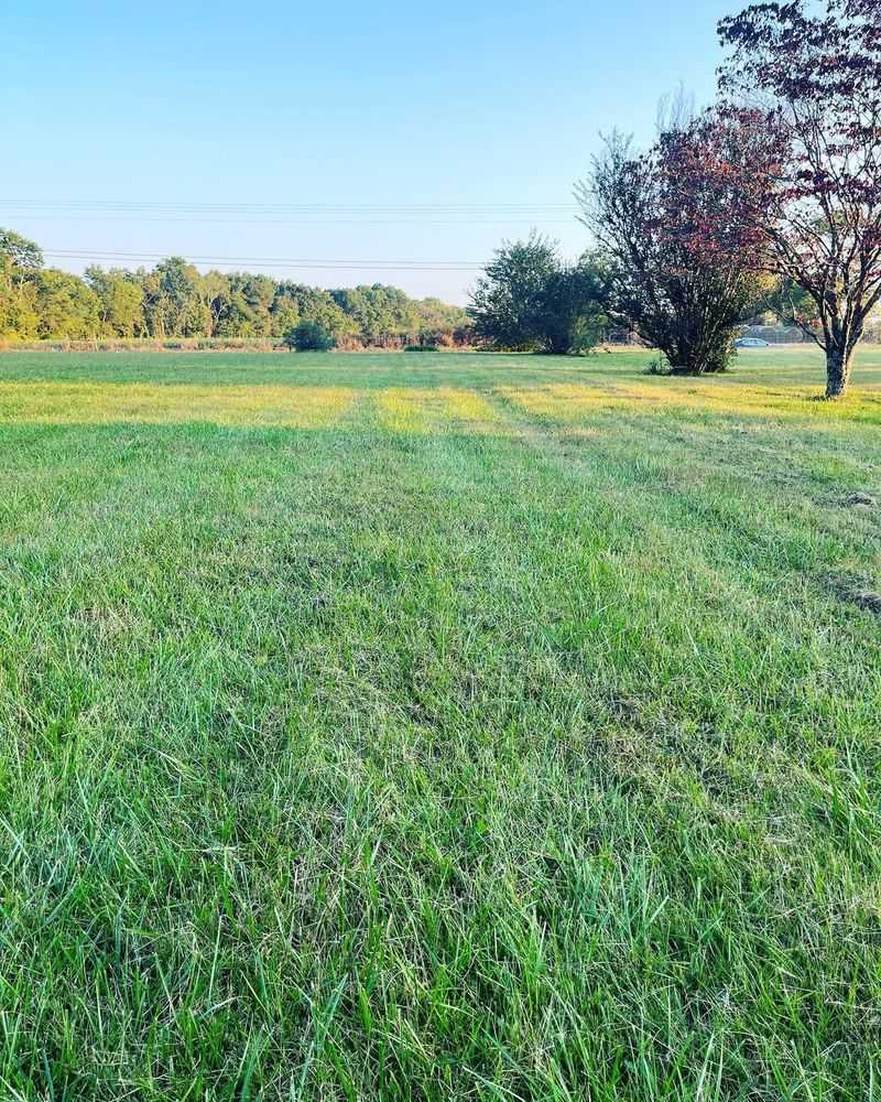 Affordable And Easy To Use